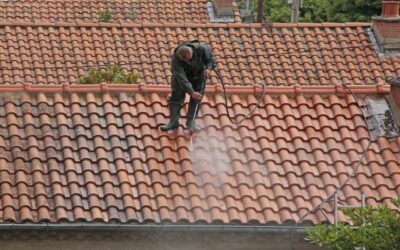 Démoussage de toiture à Béziers : pourquoi est-il important pour l’entretien de votre toiture ?